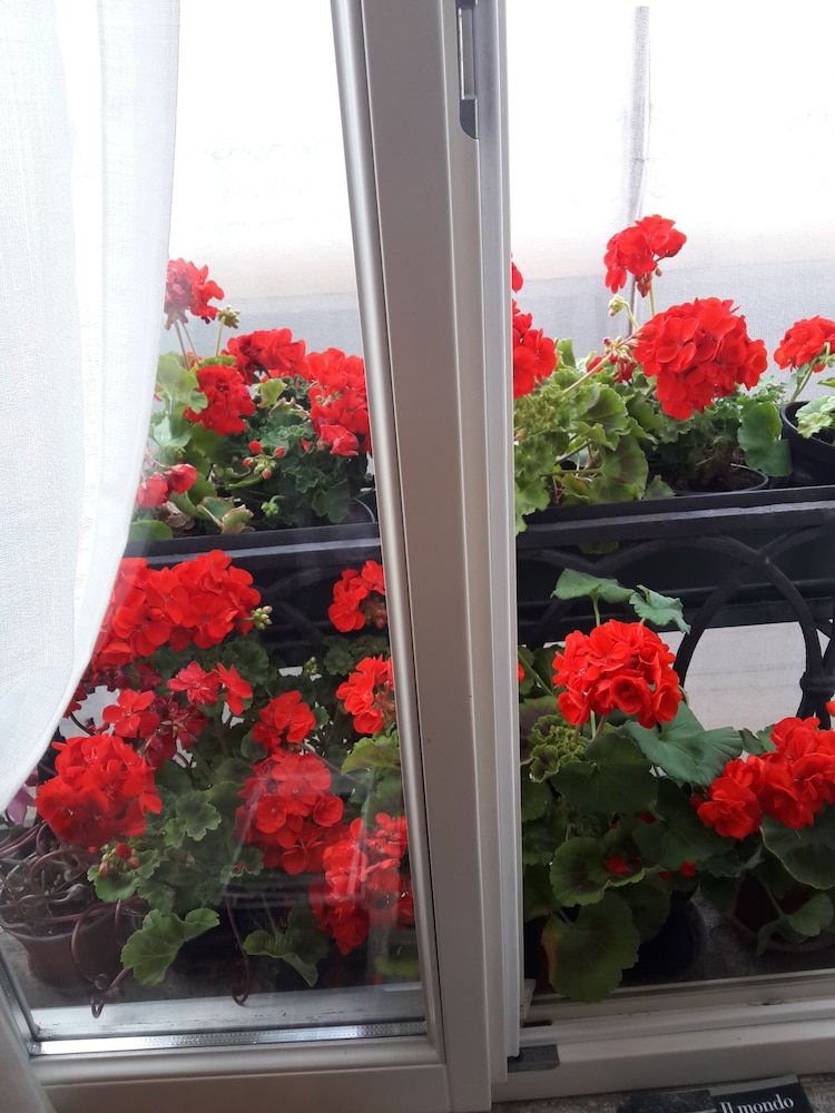 undefined B&B A Le Boteghe 10