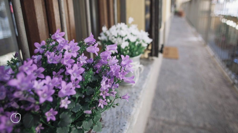 undefined Italianway   - San Gottardo 4