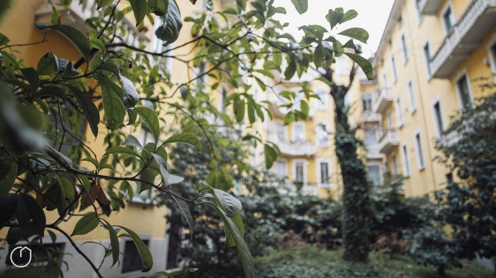 undefined Italianway   - Vivaio 4