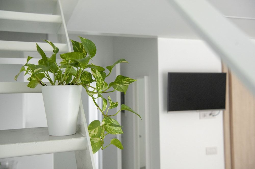 Ortiquattro Superior Apartment, Ensuite (con Soppalco e Giardino) 44