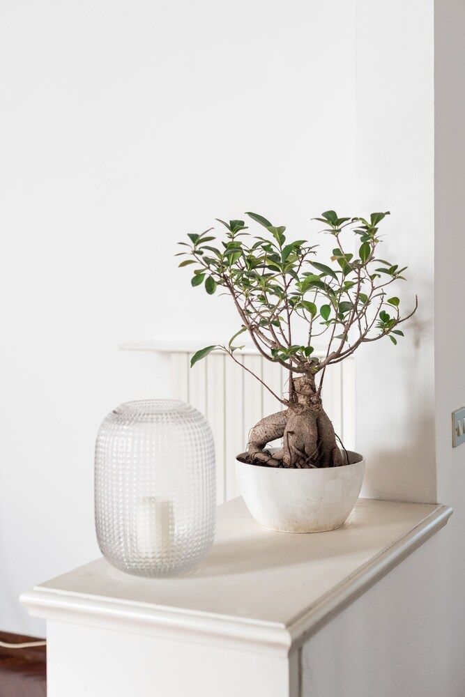 Leopolda Dream Beautiful Apartment Sleeps 5 Duplex, 2 Bedrooms 36