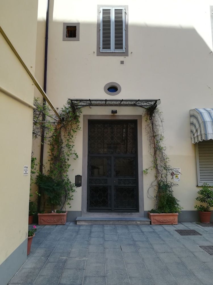 undefined Faenza Novella 5