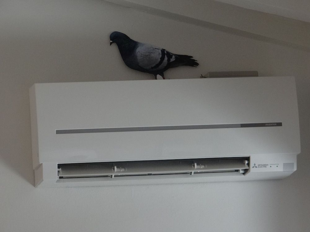 Matteotti Apartment in Firenze Apartment 28