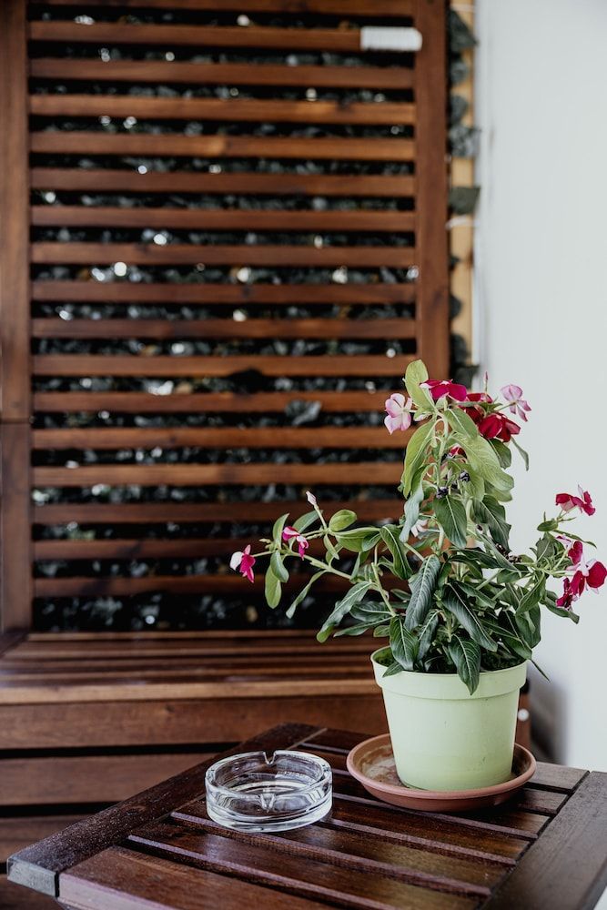 undefined Easy Florence 9