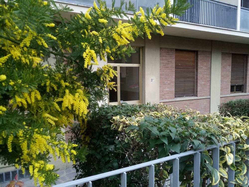 undefined Easy Florence 5