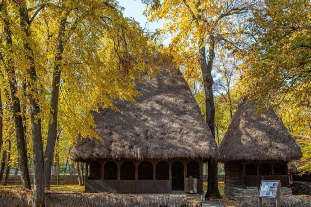 undefined Hotel Caro 7