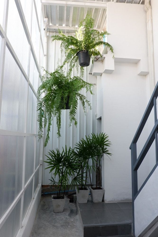 undefined Morn-Ing Hostel 6