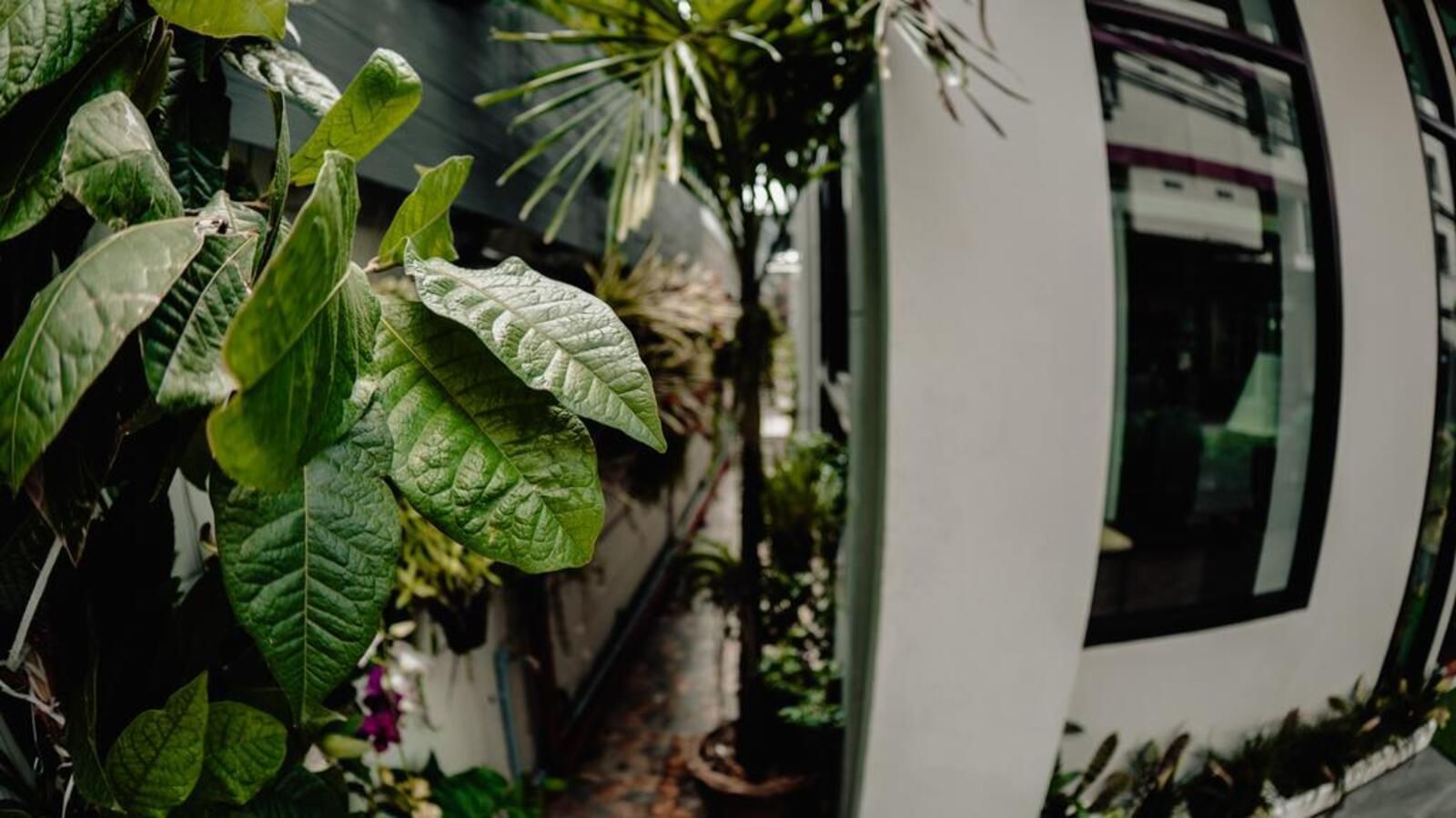 undefined Step One at Bangkok 2