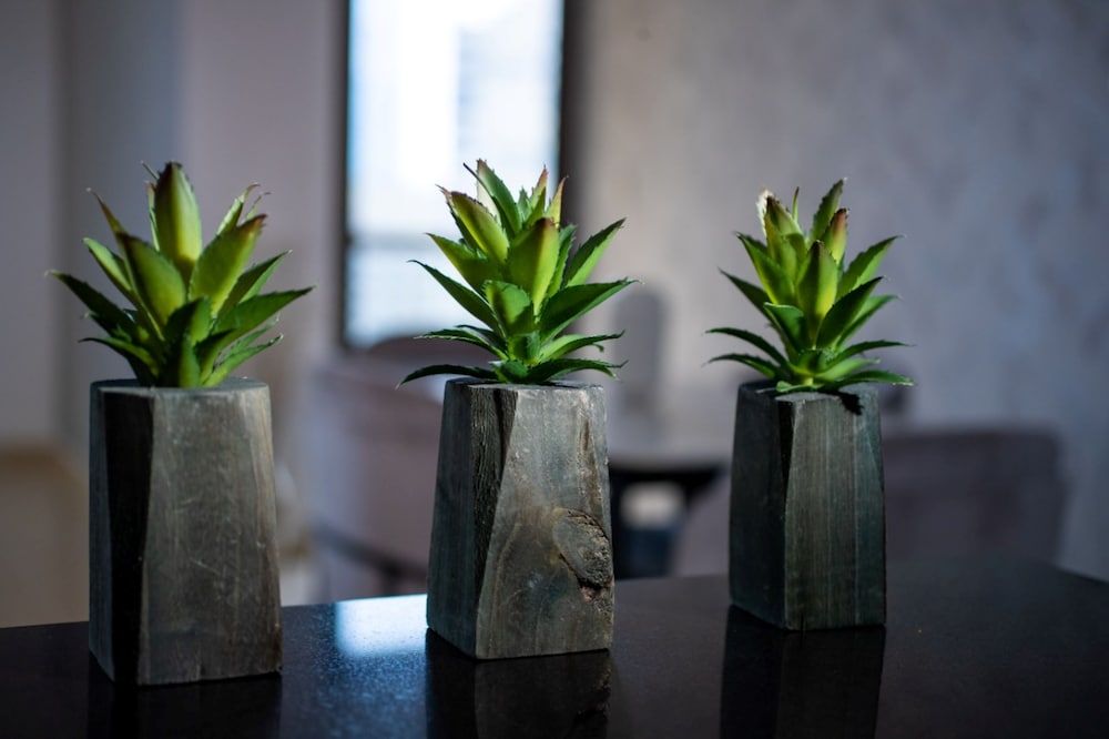 Spacious 2 bedroom with Amazing Marina View Rimal JBR Classic Apartment, 2 Bedrooms, Marina View 14