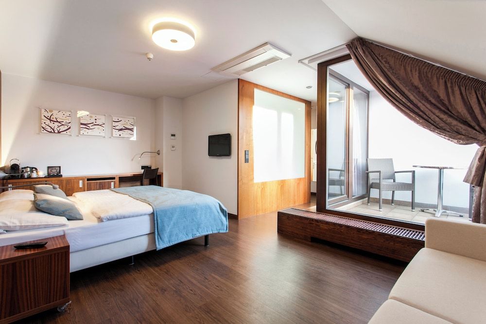 undefined Hotel Carol 4