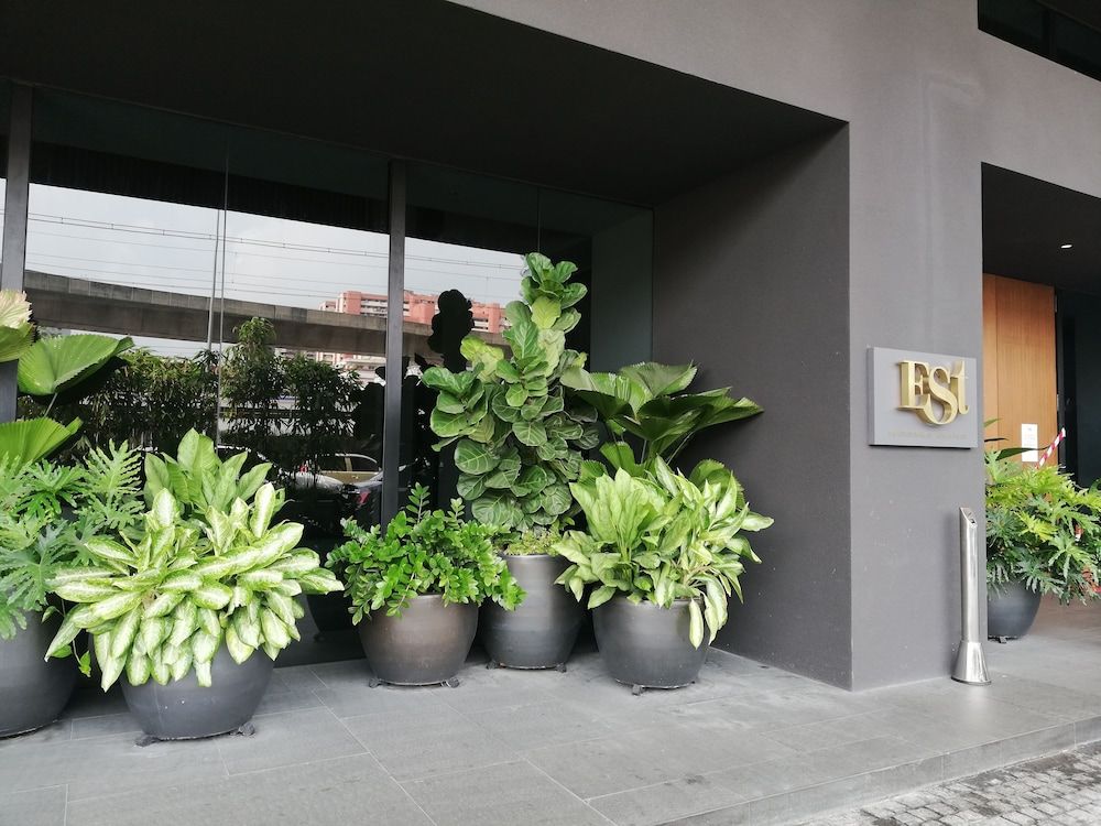 undefined The Establishment Suite by De Space