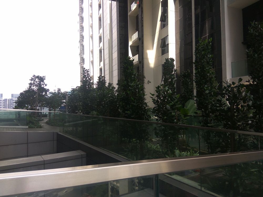 undefined The Reach 4