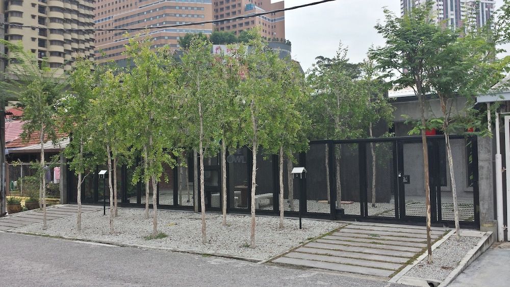 undefined Owl Homestay 2