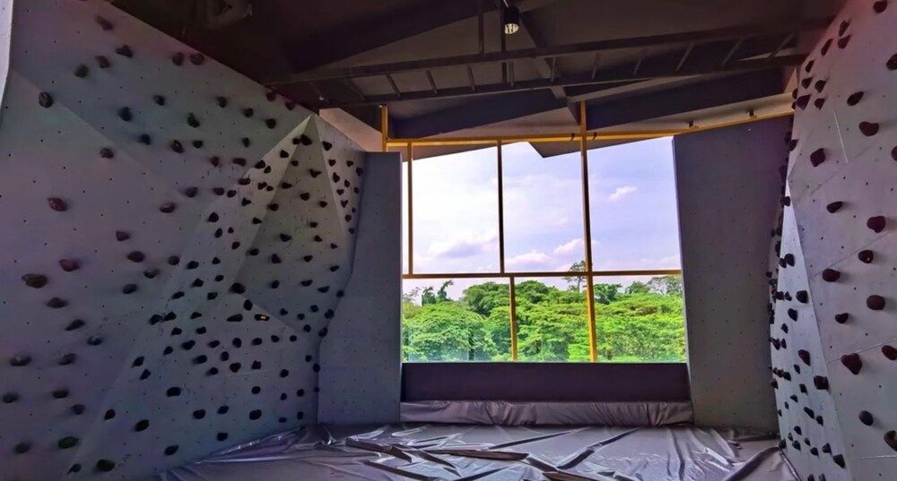 Rock Climbing Wall - Indoor