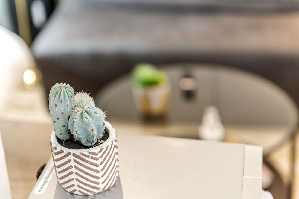 Beautiful Hyde Park Studio Flat Apartment, 1 Queen Bed 7