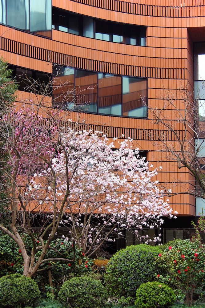 undefined HUALUXE Shanghai Twelve at Hengshan by IHG 9