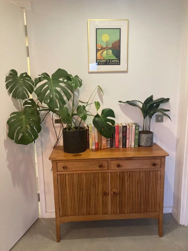 Pet Friendly 1 Bedroom Apartment in London Fields Basic Apartment, 1 King Bed 11