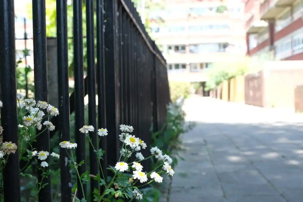 Spacious 3 Bedroom Apartment in Battersea With Terrace