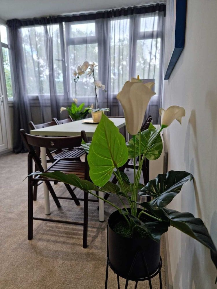 undefined Remarkable 3-bed Apartment in London