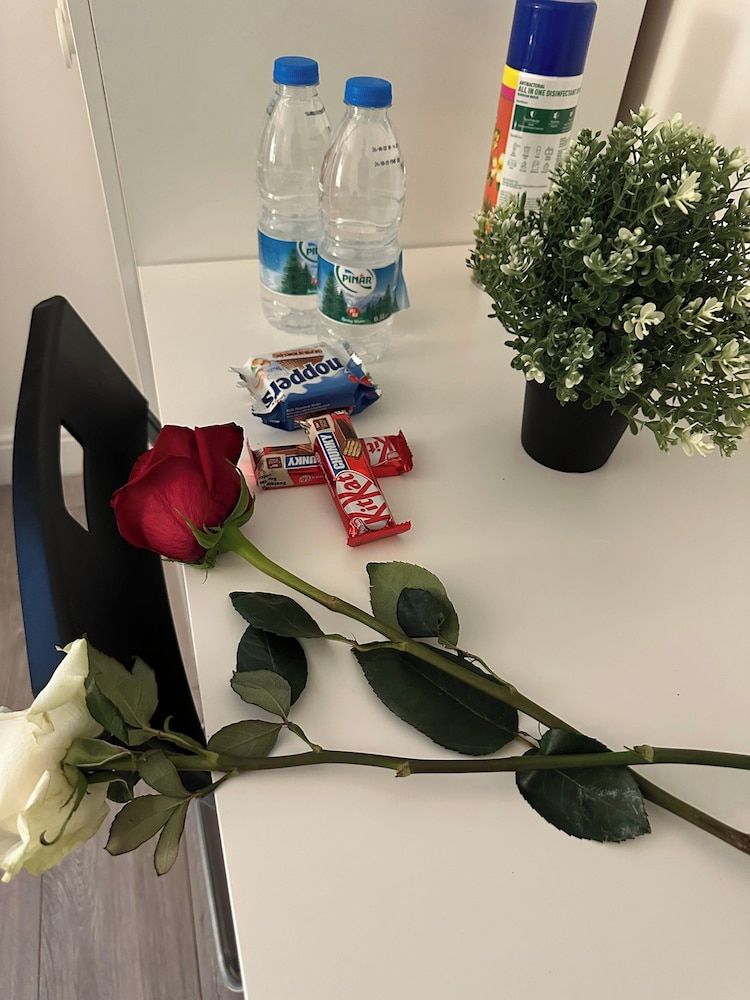 undefined Lovely Studio Apartment in London 8