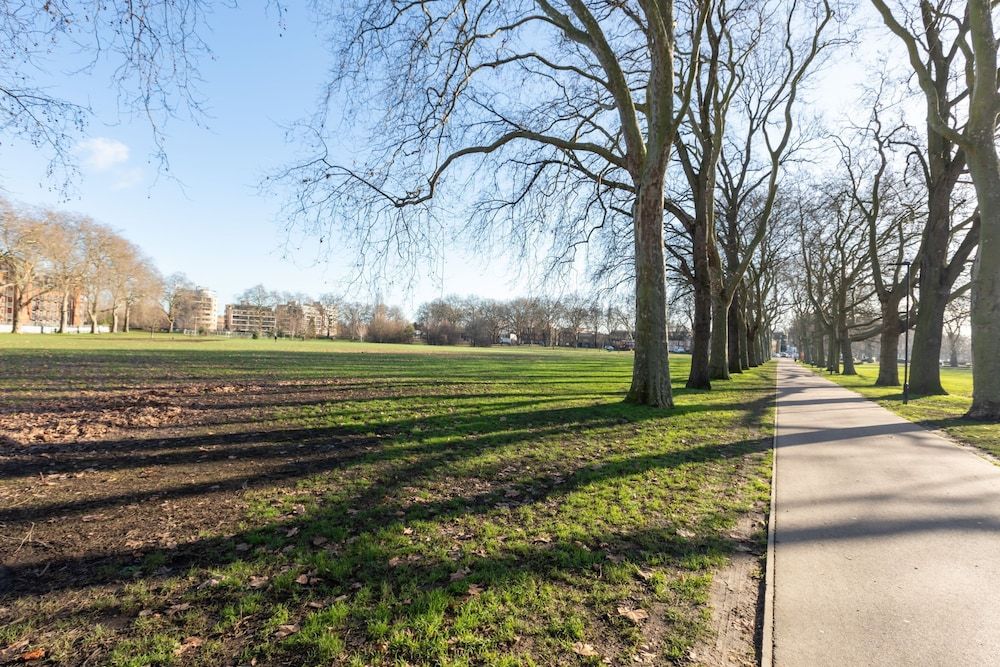 Serene and Spacious 1 Bedroom Garden Flat in Clapton Basic Apartment, 1 Double Bed with Sofa bed 39