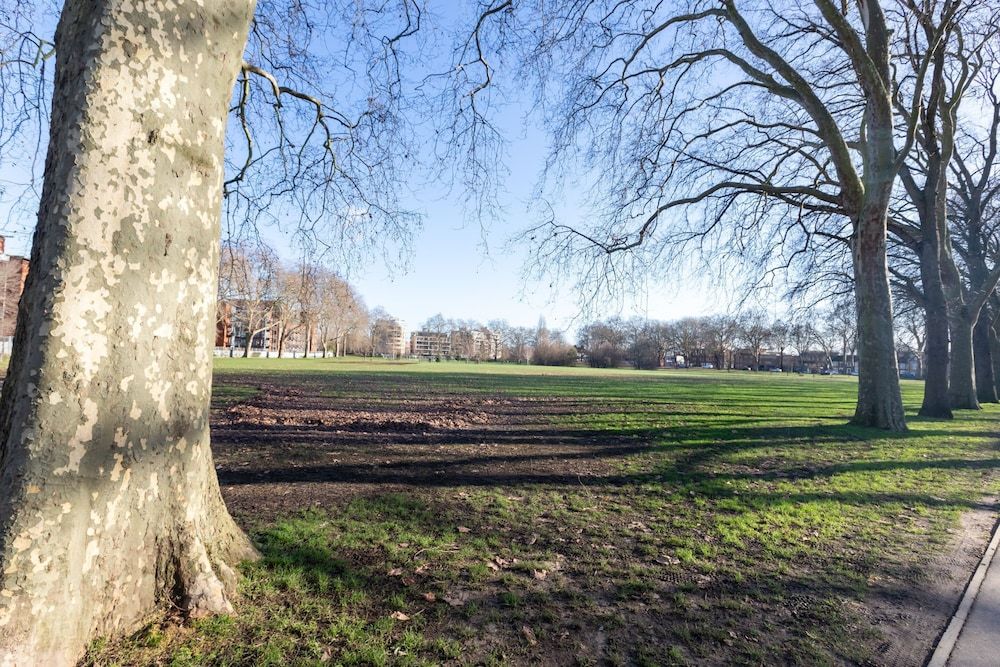 Serene and Spacious 1 Bedroom Garden Flat in Clapton Basic Apartment, 1 Double Bed with Sofa bed 33