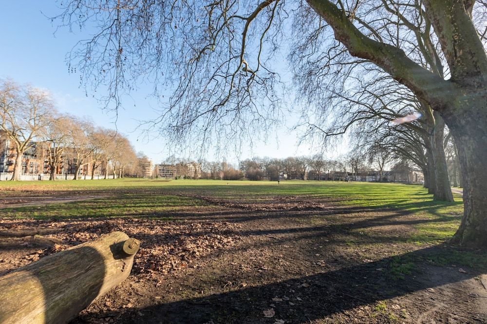 Serene and Spacious 1 Bedroom Garden Flat in Clapton Basic Apartment, 1 Double Bed with Sofa bed 19