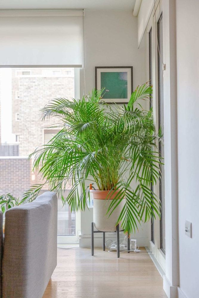 undefined Bright Flat in Elephant & Castle