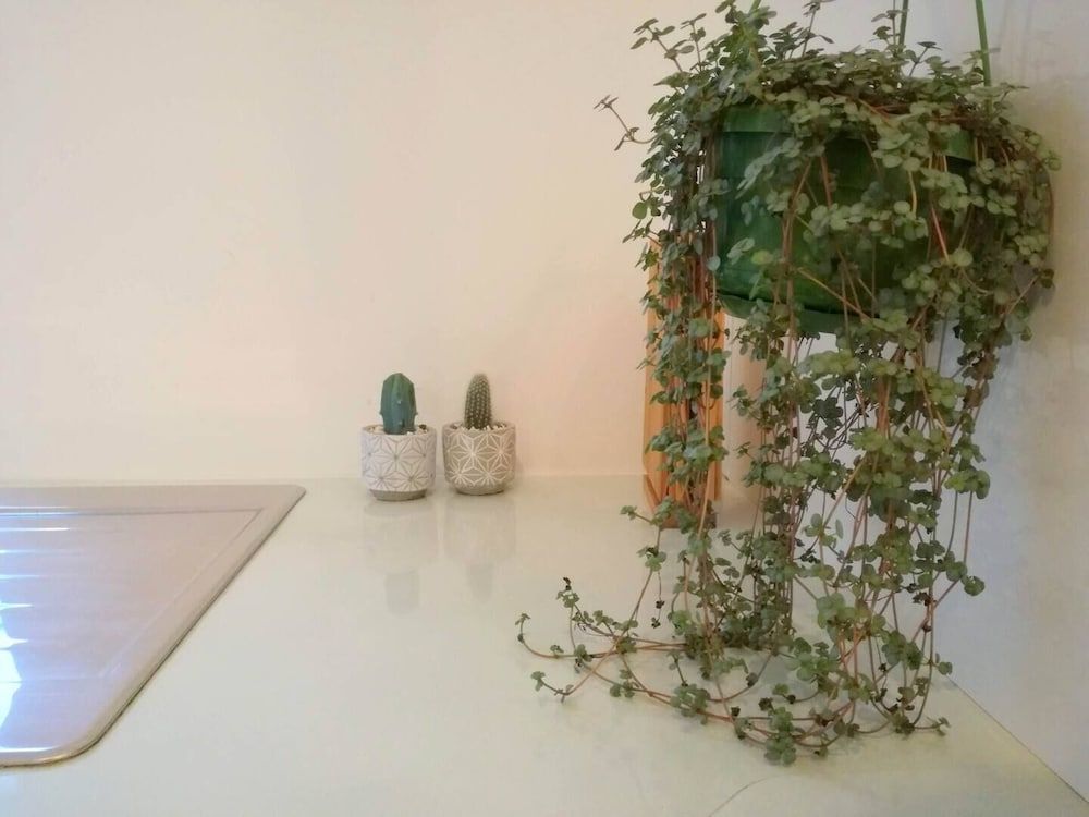 undefined Charming Euston Apartments 2