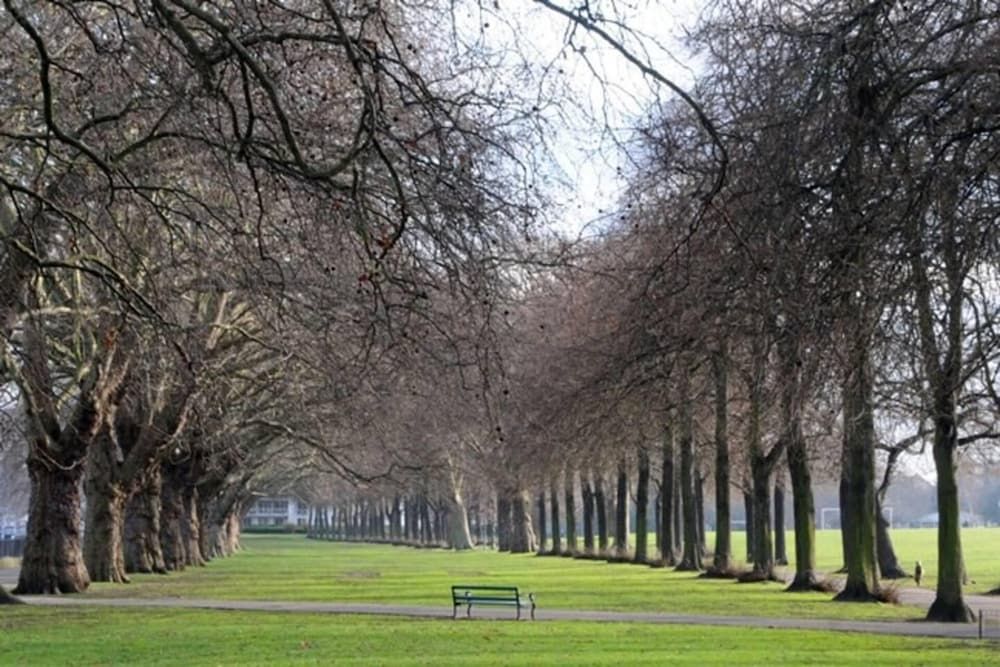 undefined Amazing Riverside Boheme Home in SW London! 2