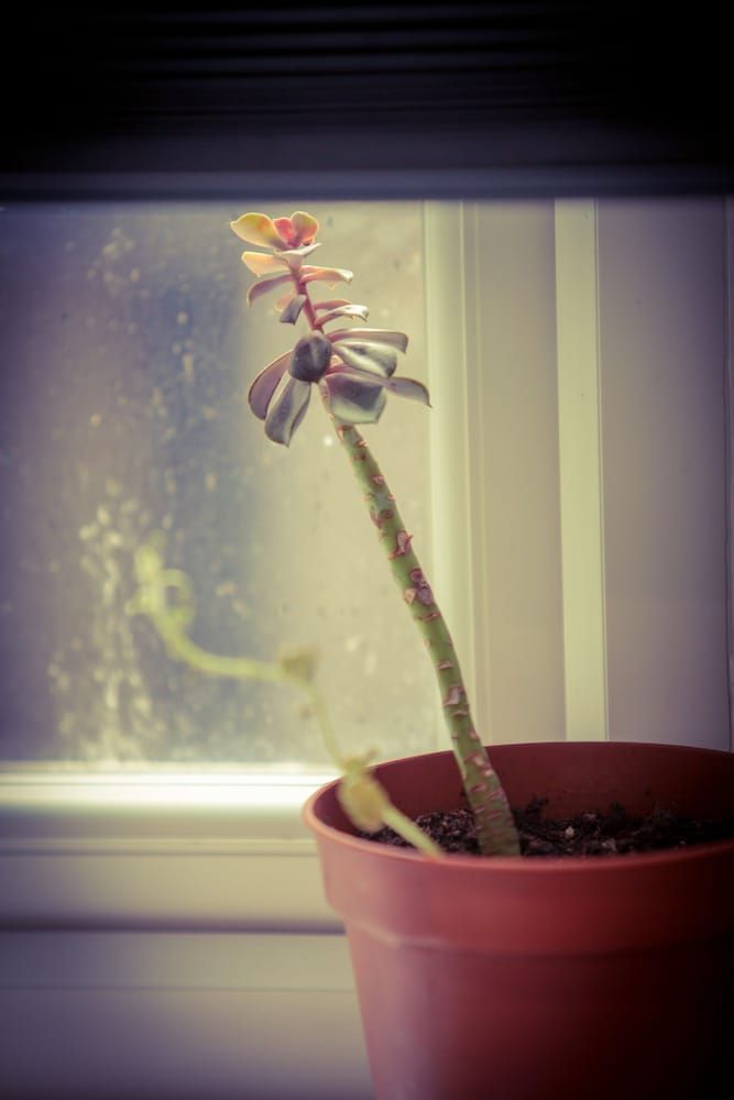 Warren st Apt City Apartment 19