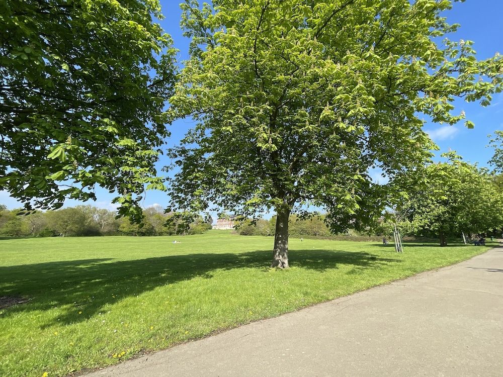 undefined Immaculate 1-bed Studio in London 2