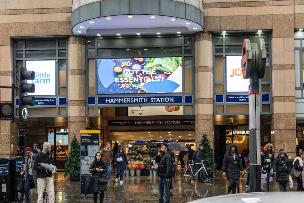 Charming 2BD Garden House - Hammersmith House (2 Bedrooms) 10