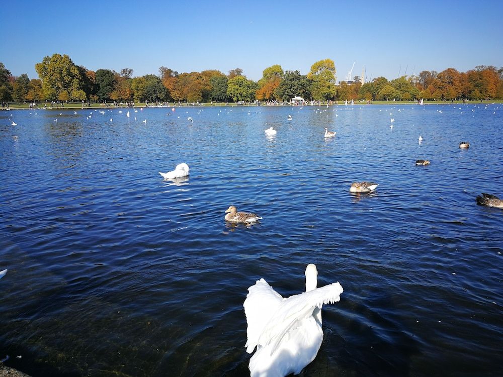 undefined Kensington Palace by Underground station 10
