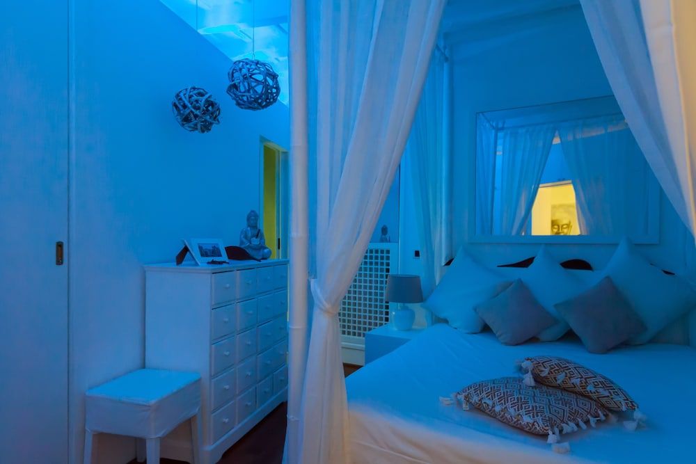 undefined Sweet Navona 2