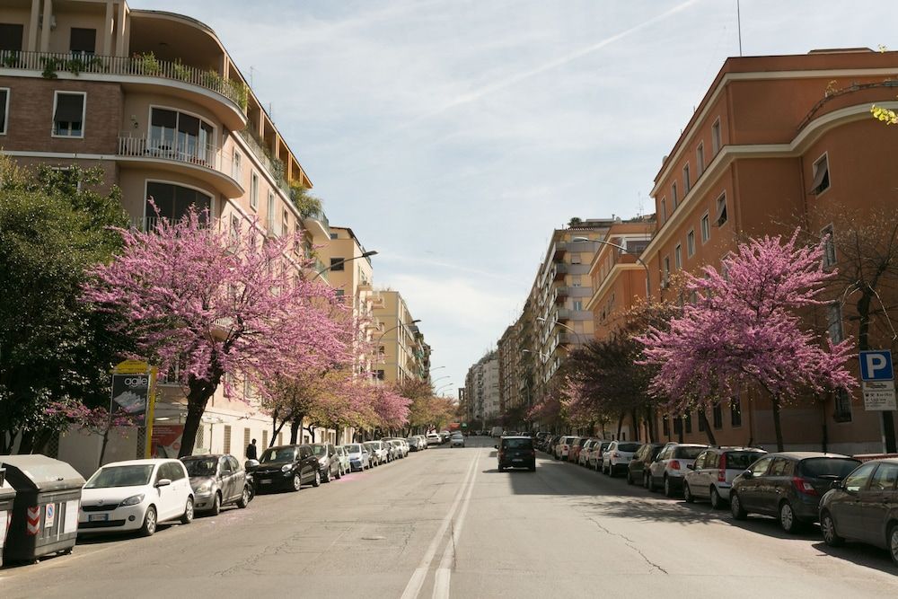 undefined Wonder Colosseum Delight