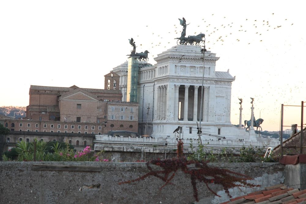 undefined Colosseum Exclusive Duplex