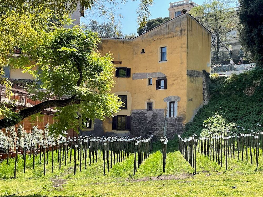 undefined Rm-h501-gari36e4 Il Mulino di Trastevere - G5 10