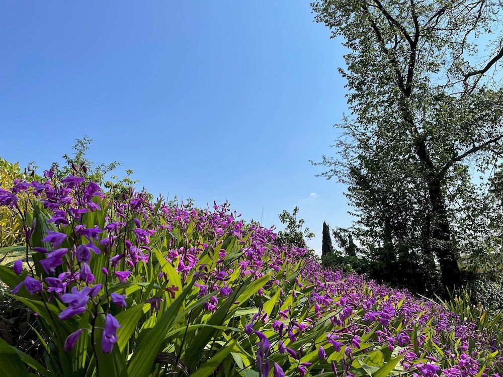 undefined Rm-h501-gari36b1 - Il Mulino di Trastevere - G2 7