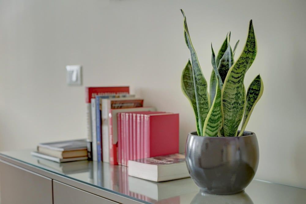 Rm-h501-gpsc20b1 Colosseo Gardens - C2 Apartment 13