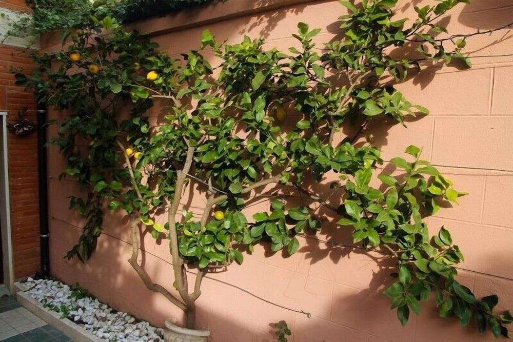 undefined Stella Polare BnB 4