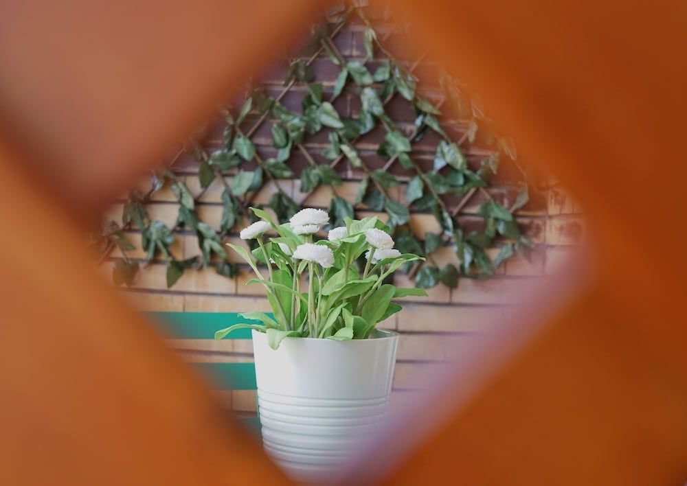 undefined Duca's House 6