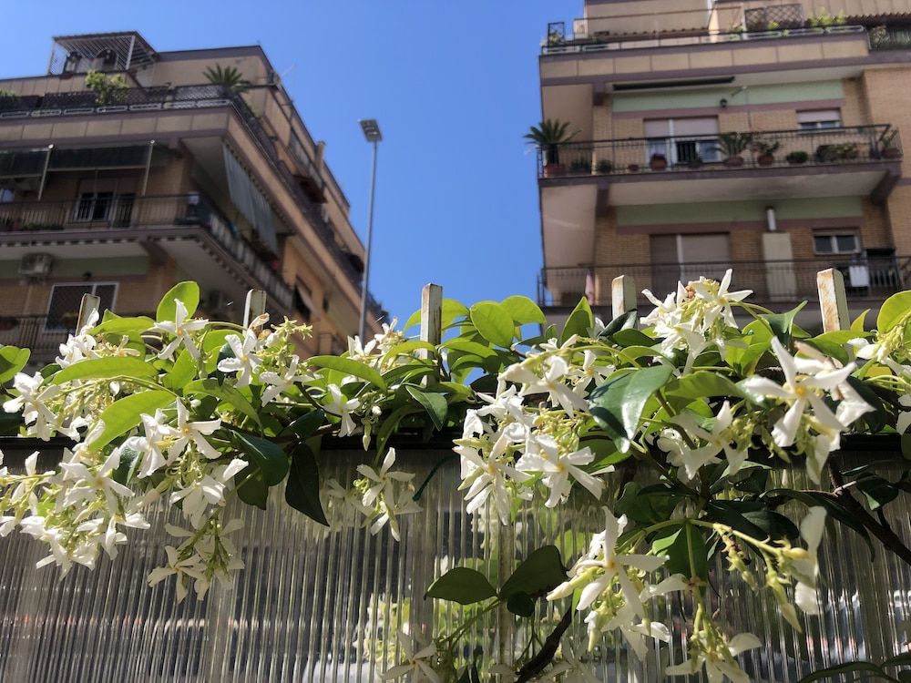 undefined Flower Rooms 2