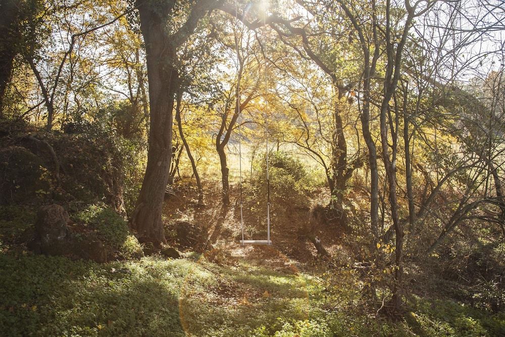 undefined B.O. Spa Suite 6