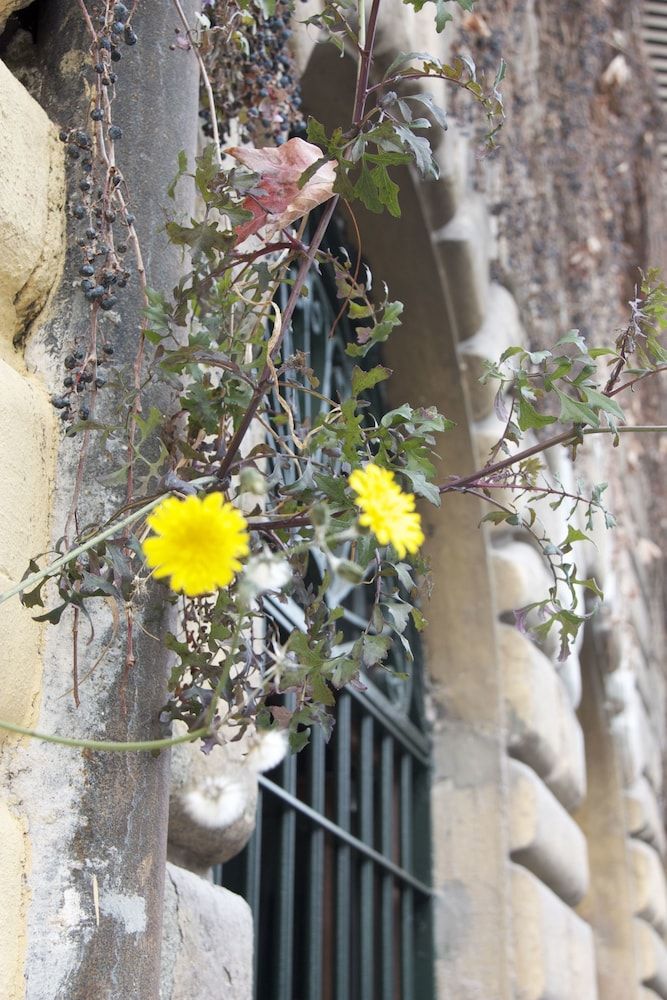 undefined Fori Romani B&B 7