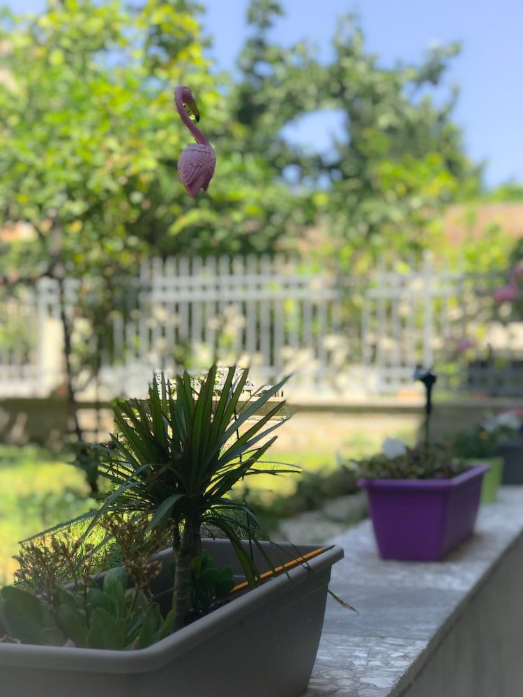 undefined Alloggio Turistico Colosseo 7