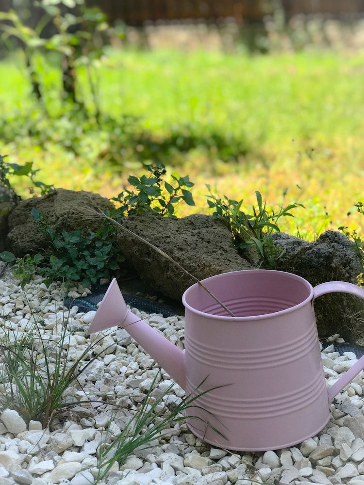 undefined Alloggio Turistico Colosseo 6