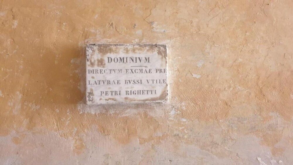 undefined MAGENTA COLLECTION ARGENTINA 6