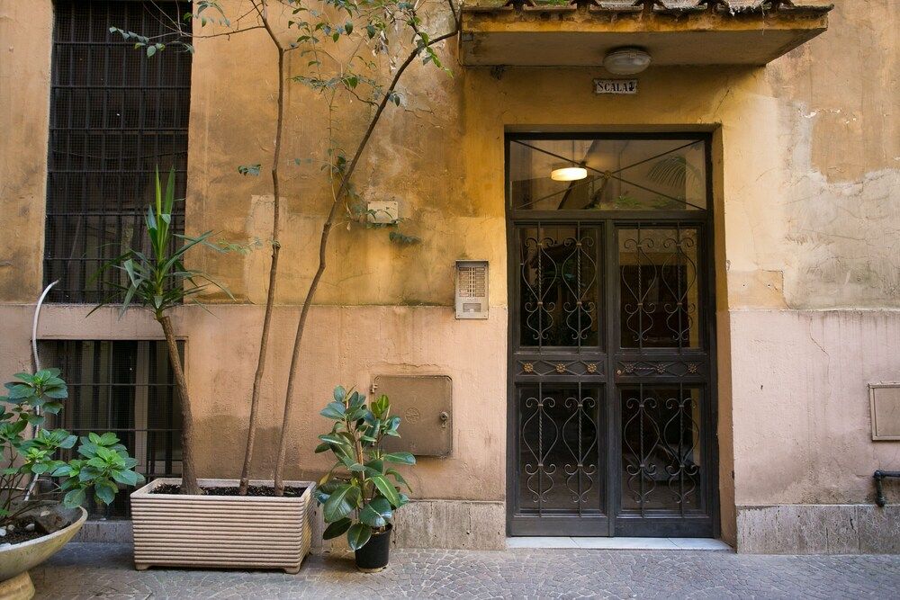 undefined The B Place Cola 4