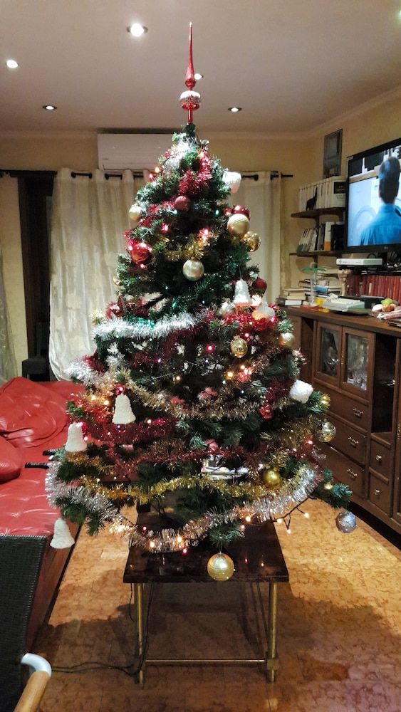 Caligola Resort Single Room 4